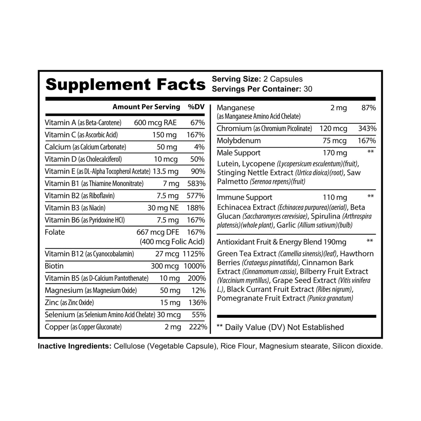 Daily Performance & Vitality
